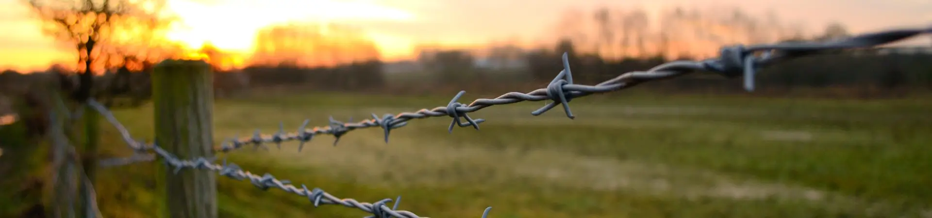 Descripción de la imagen