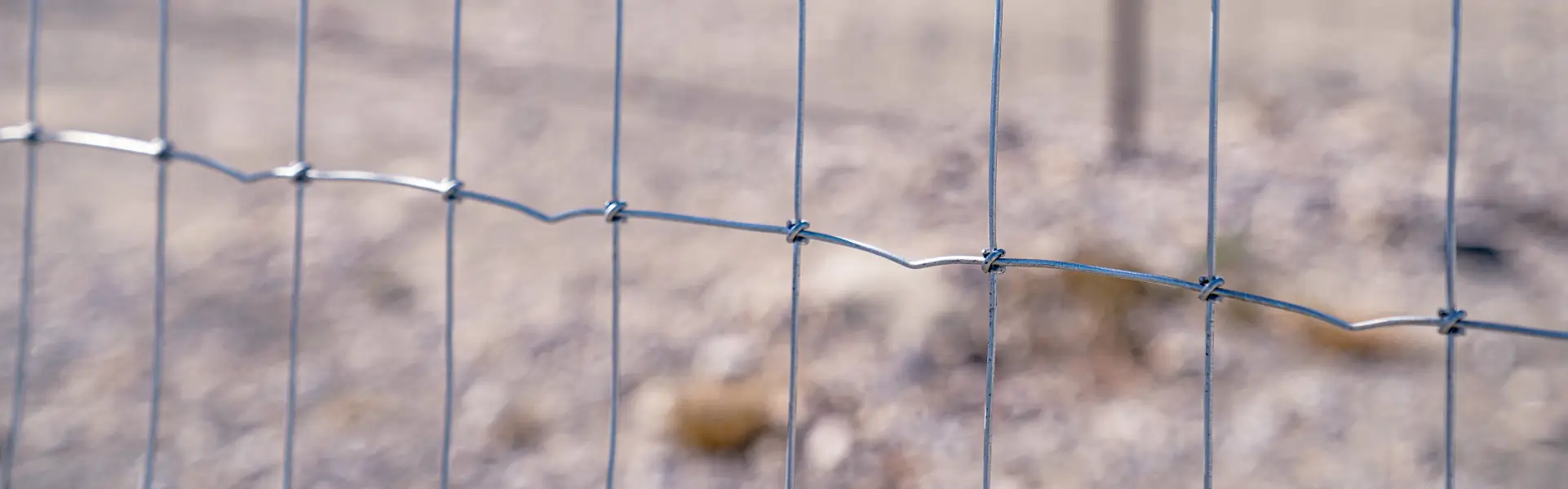 Vista cercana de una malla triple nudo cubriendo un campo de pastar con vacas