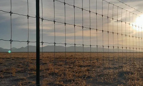 Cerca de Malla Urbana en nudo frente a un terreno desertico en Nueva Rosita