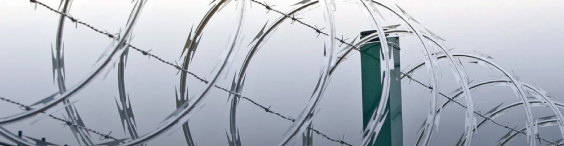 Descripción de la imagen