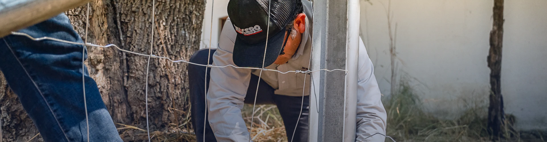 Descripción de la imagen