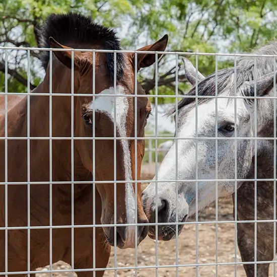 Imagen de Panel Equinos DEACERO®
