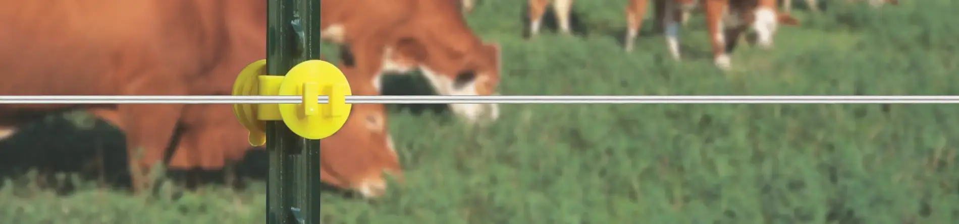 Ventajas del Alambre para Cerco Eléctrico frente a los cercos tradicionales