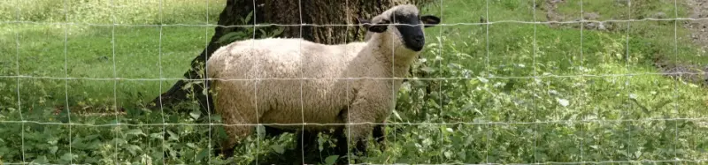 Errores comunes al instalar Cercos Agropecuarios y cómo evitarlos