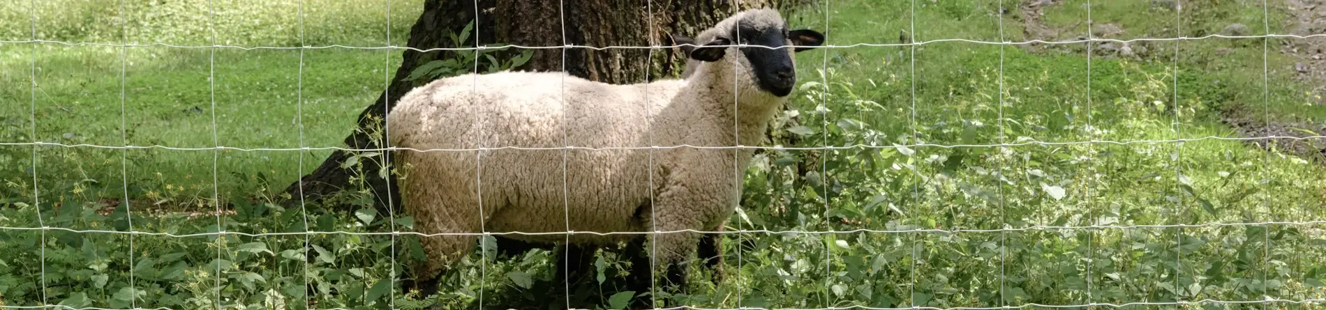 Errores comunes al instalar Cercos Agropecuarios y cómo evitarlos